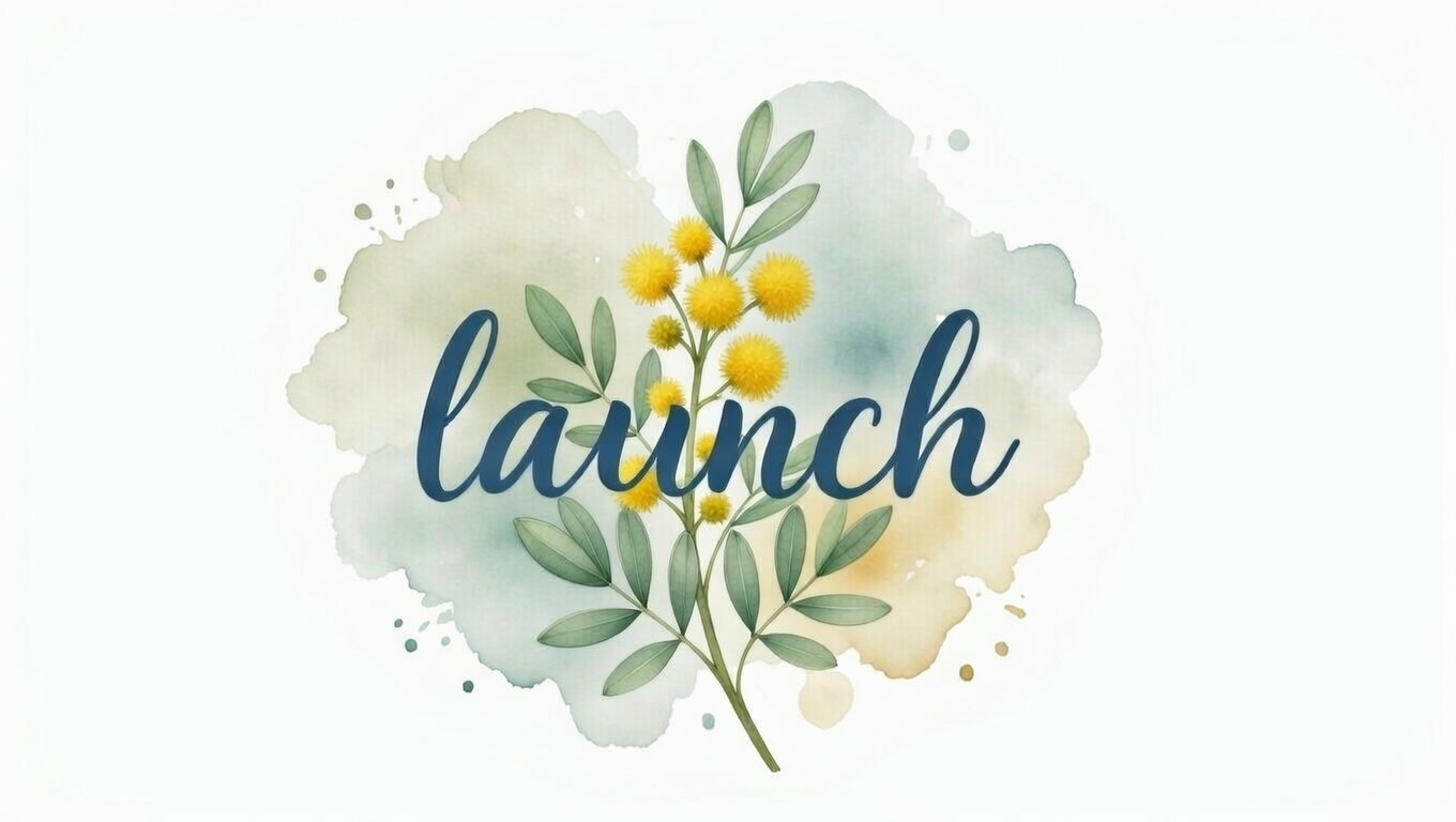 Launch services
